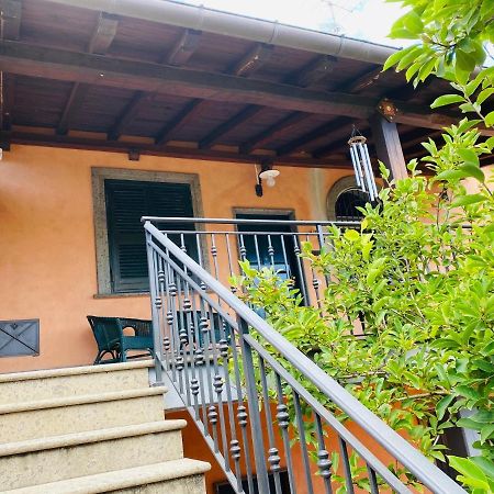 Villa Mariposa نيتّونو المظهر الخارجي الصورة