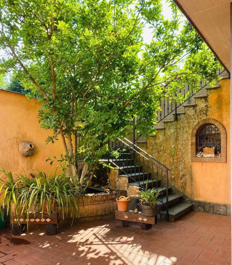 Villa Mariposa نيتّونو المظهر الخارجي الصورة