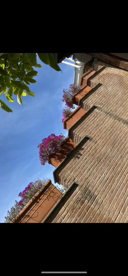 Villa Mariposa نيتّونو المظهر الخارجي الصورة